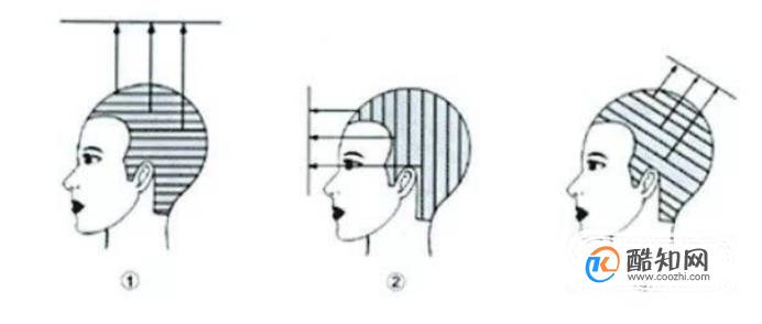 ��ѧ�������ż�������